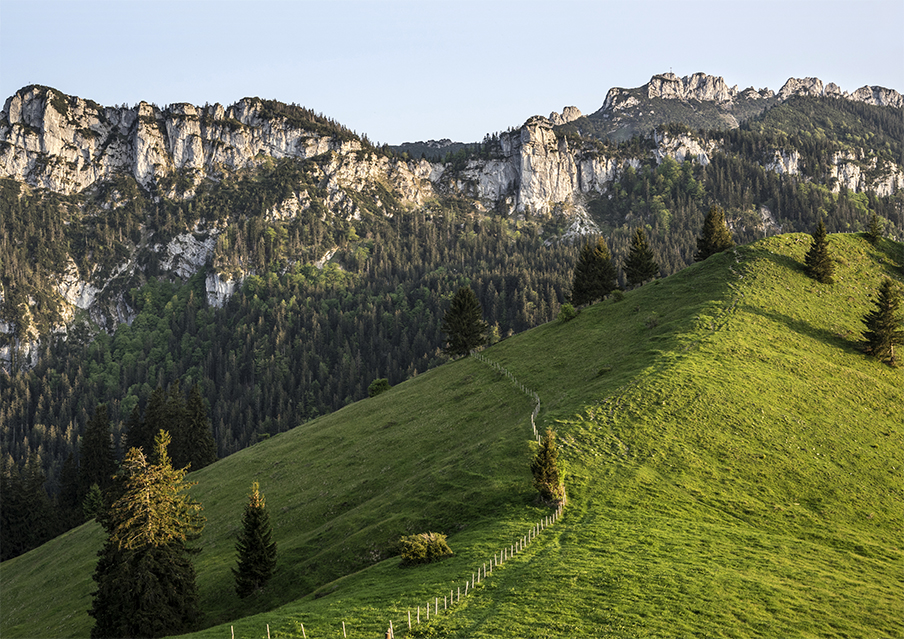Foto_Erlberg_Chiemgauer Alpen